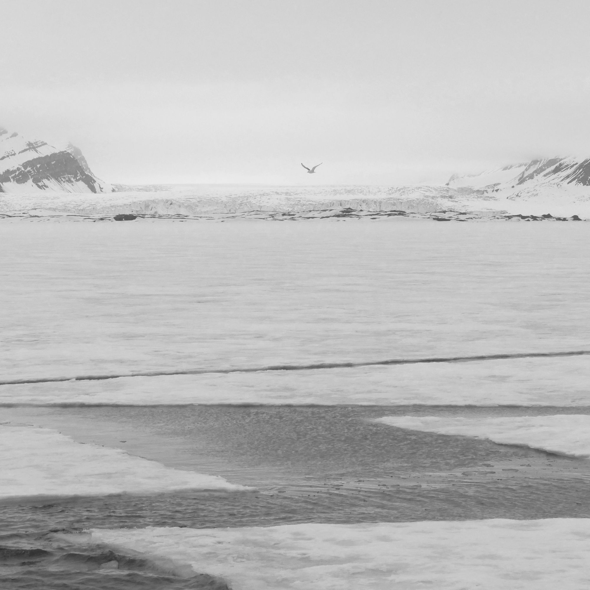 Refresh if image missing! :)