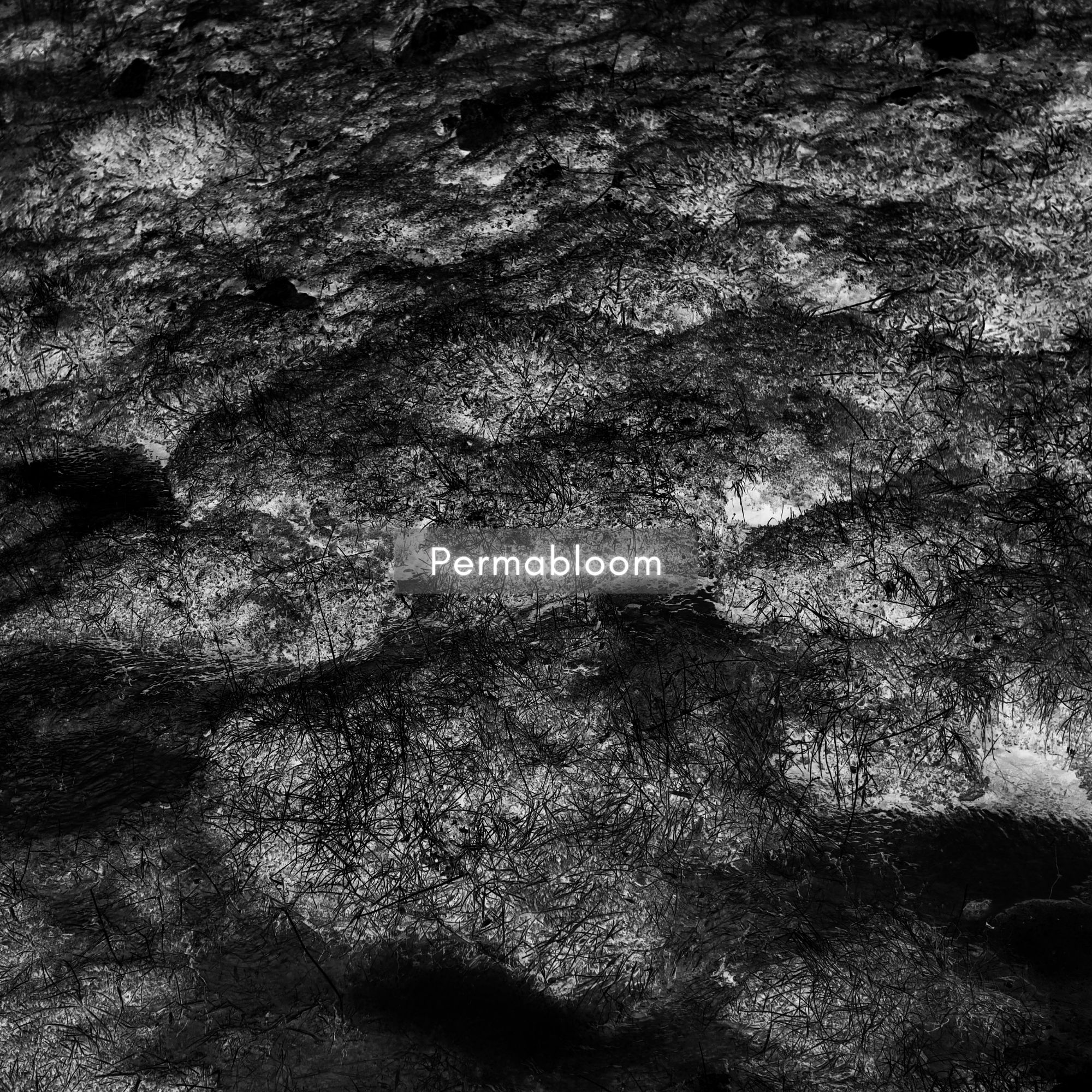 Refresh if image missing! :)