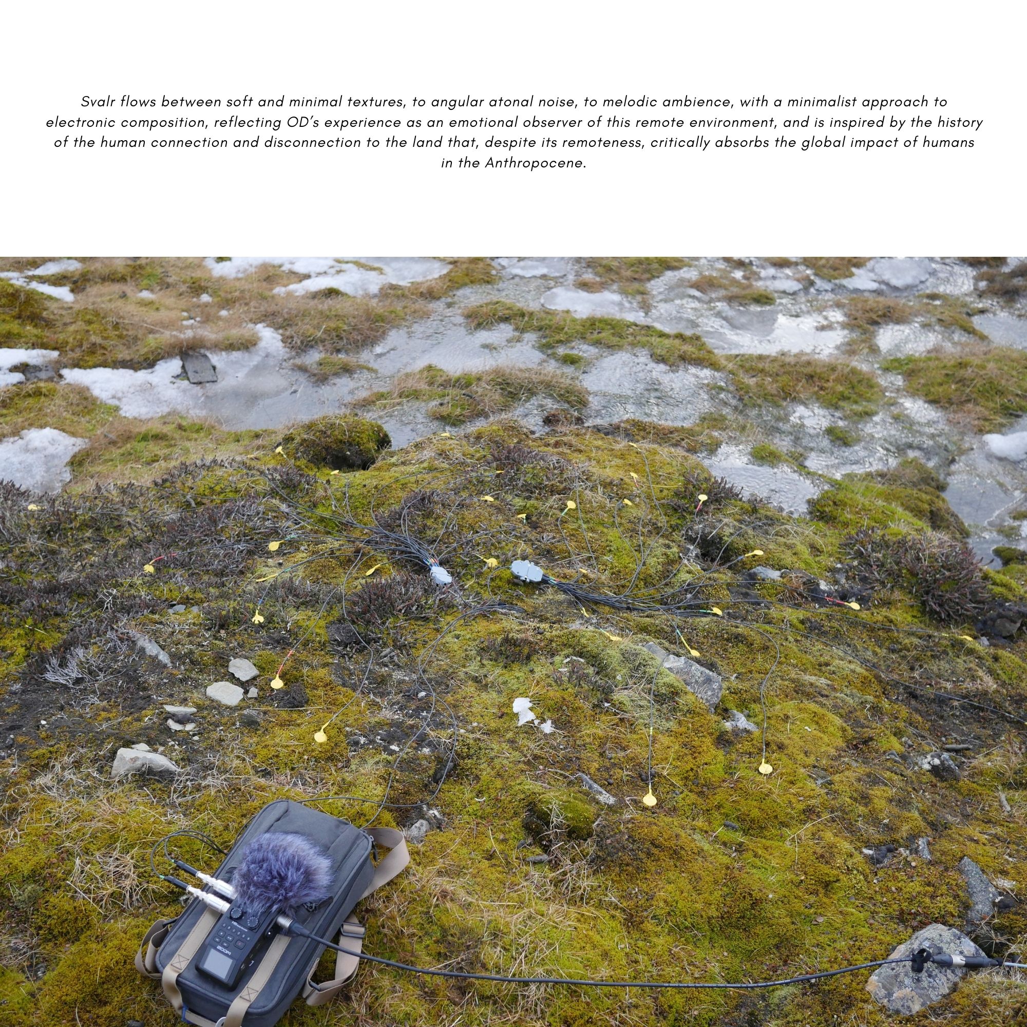 Refresh if image missing! :)