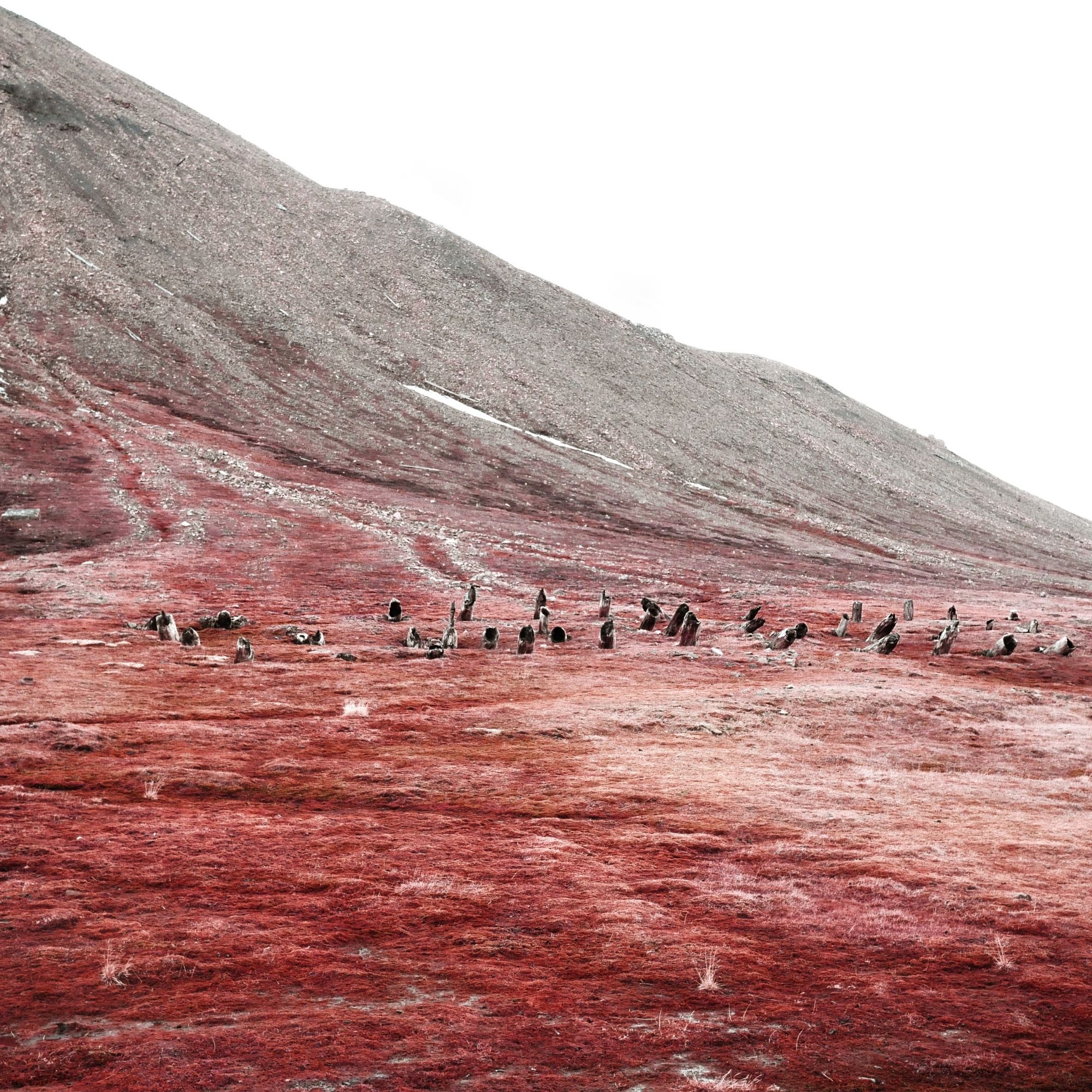 Refresh if image missing! :)