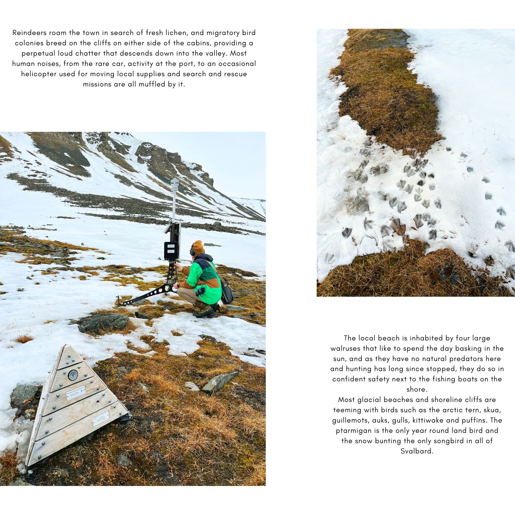 Refresh if image missing! :)